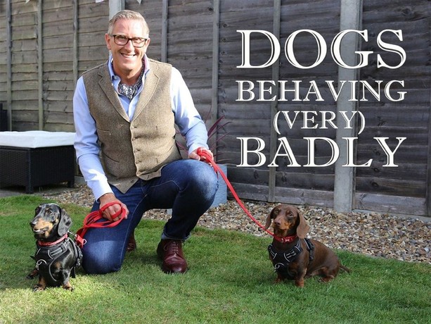 Channel 4 2025 dogs behaving badly