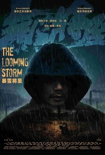 The Looming Storm poster
