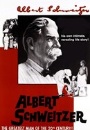 Albert Schweitzer poster image