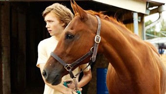 Lean on Pete - Rotten Tomatoes
