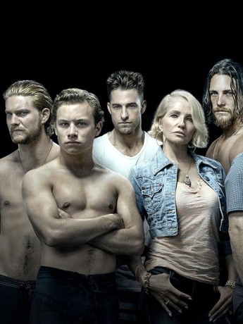 Animal Kingdom Season 4 Rotten Tomatoes