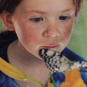 The Butterfly (2003) photo 9