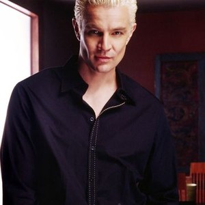 James Marsters as Spike