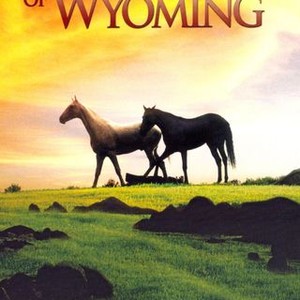 Green Grass of Wyoming photo 13