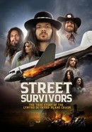 Street Survivors: The True Story of the Lynyrd Skynyrd Plane Crash poster image
