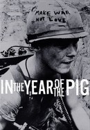 In the Year of the Pig poster image