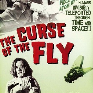 The Curse of the Fly (1965) photo 7