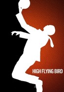 High Flying Bird poster image