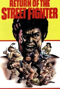 Poster for Return of the Street Fighter