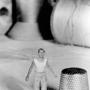 The Incredible Shrinking Man (1957) photo 14