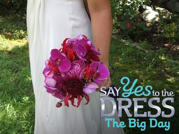 Krystle say yes outlet to the dress