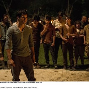 The Maze Runner (2014) - IMDb