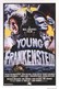 Young Frankenstein small logo