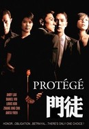 Protege poster image