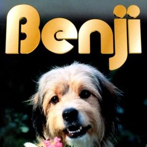 The original clearance benji movie