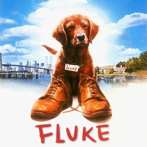 Fluke photo 12