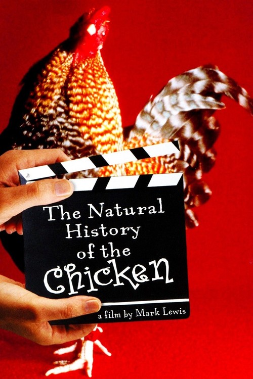 The Natural History of the Chicken poster
