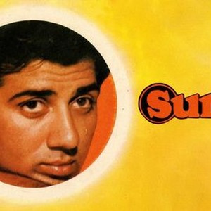 Sunny photo 12