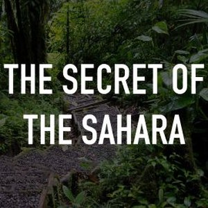 The Secret of the Sahara photo 4