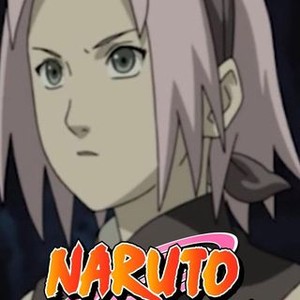 Watch Naruto: Shippuden Online, Season 3 (2008)