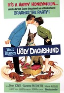 The Ugly Dachshund poster image