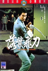 Fists of Vengeance (Luo ye fei dao)