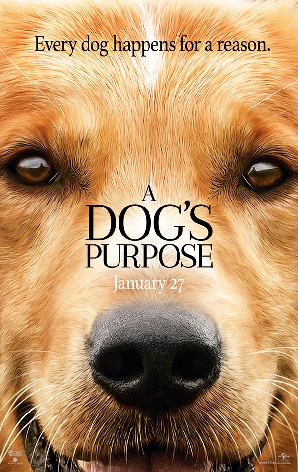 A Dog's Purpose' Finds a Good Friend at the Box Office - The New