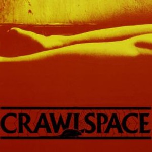 Crawlspace photo 9
