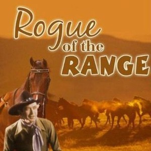 Rogue of the Range (1936) photo 9