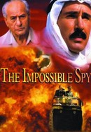 The Impossible Spy poster image