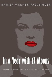 In a Year of 13 Moons poster