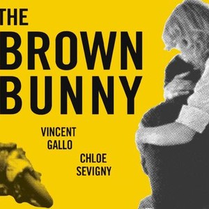 The Brown Bunny photo 6