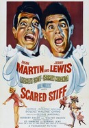 Scared Stiff poster image