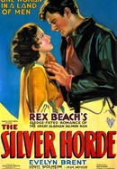 The Silver Horde poster image