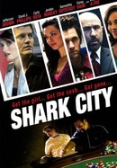 Shark City poster image