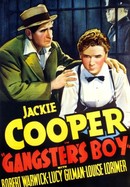 Gangster's Boy poster image