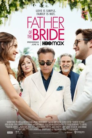 Father of the Bride poster