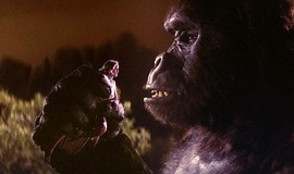 King Kong: Official Clip - Put Me Down! photo 9