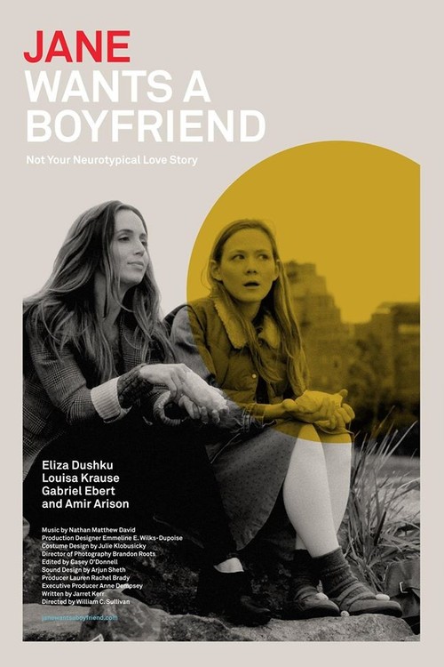Jane Wants a Boyfriend poster