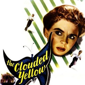 "The Clouded Yellow photo 7"