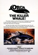 Orca poster image