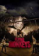 Flying Monkeys poster image