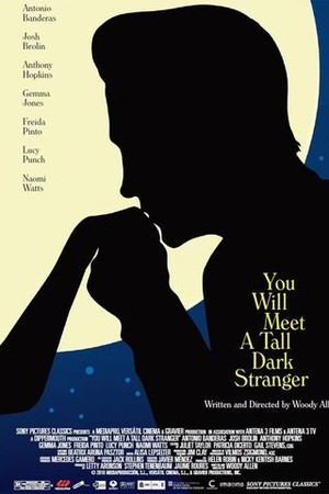 You Will Meet a Tall Dark Stranger poster