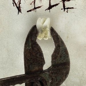 "Vile photo 12"