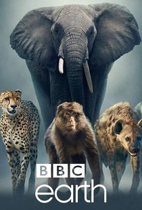 BBC Earth - Rotten Tomatoes