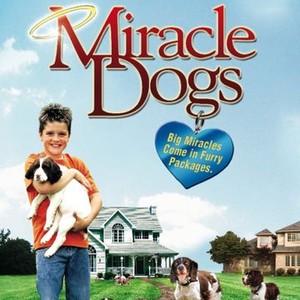 Miracle Dogs (2003) photo 5
