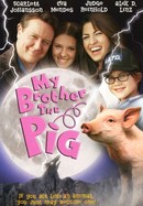 My Brother The Pig poster image