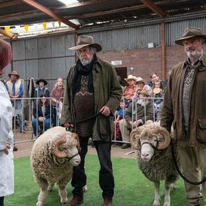 Rams (2020) photo 1