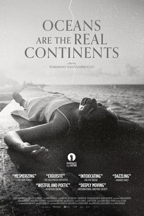 Oceans Are The Real Continents poster