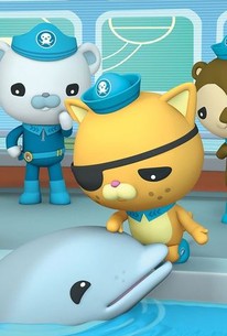 Octonauts Season 1 Episode 35 Rotten Tomatoes